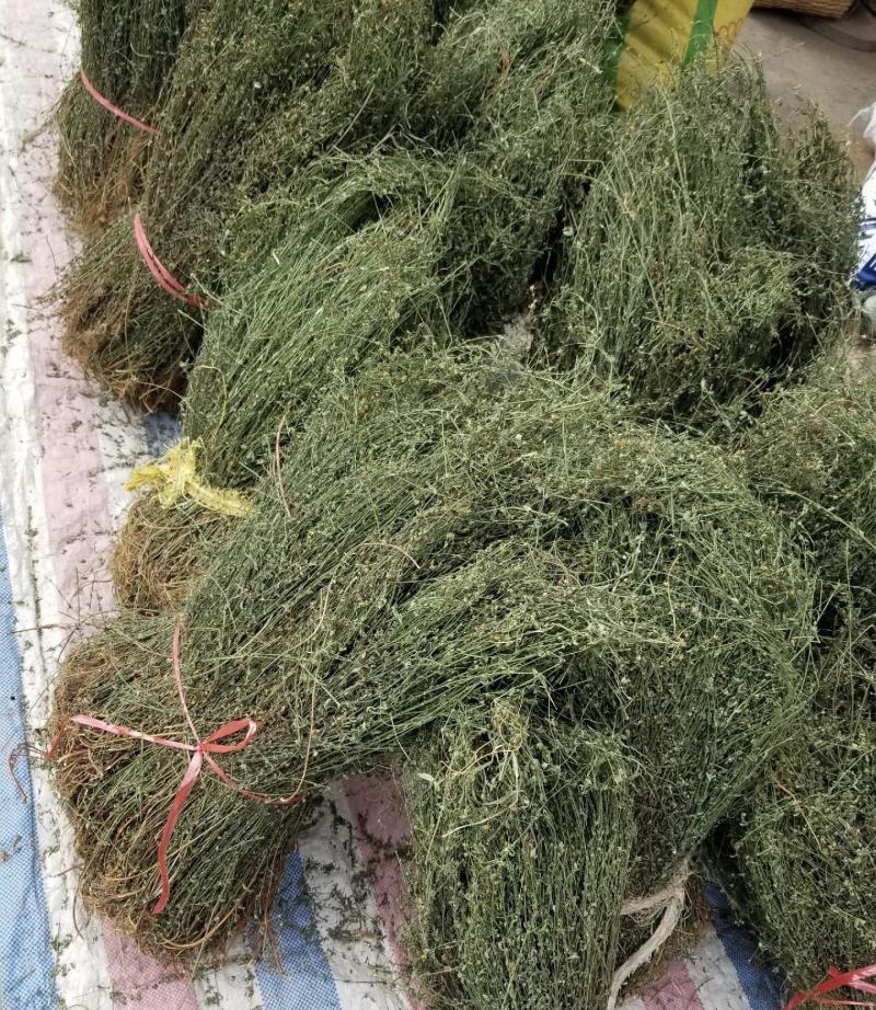 新鲜货田基黄