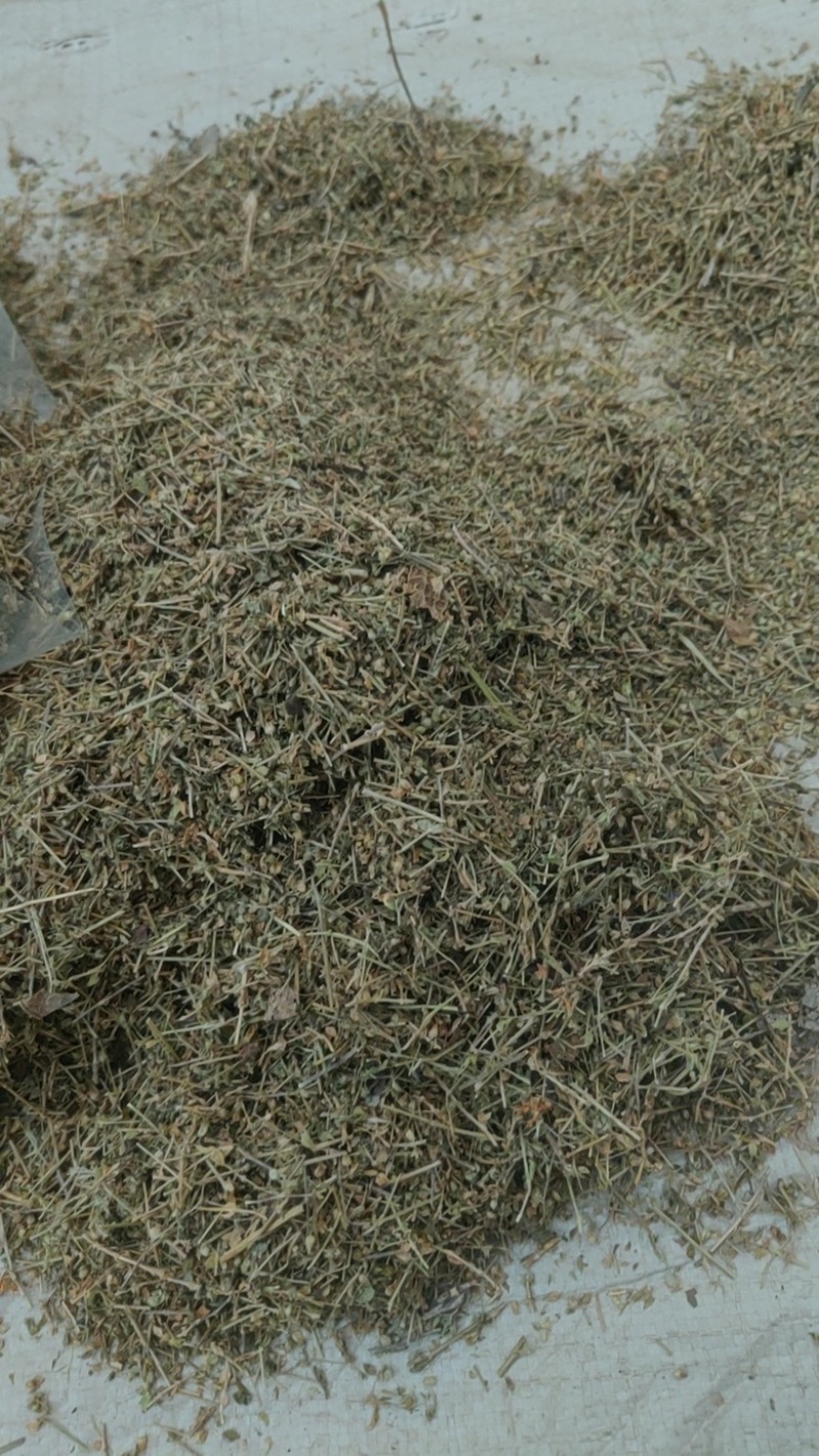 中药材批发小米草产地直售批发价格店铺有千种药材