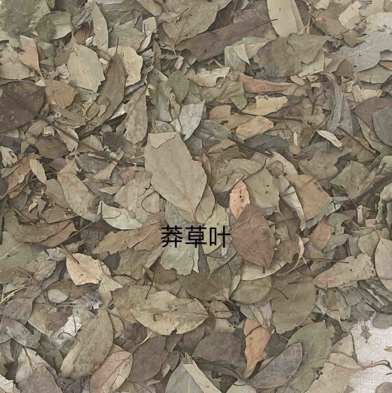 中药材批发莽草叶产地直售批发价格店铺有千种药材