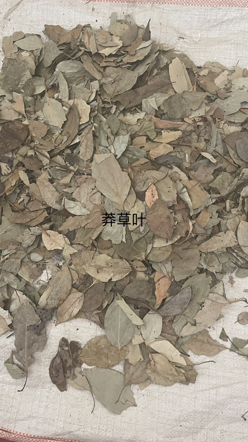 中药材批发莽草叶产地直售批发价格店铺有千种药材