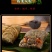 贵州贞丰灰棕