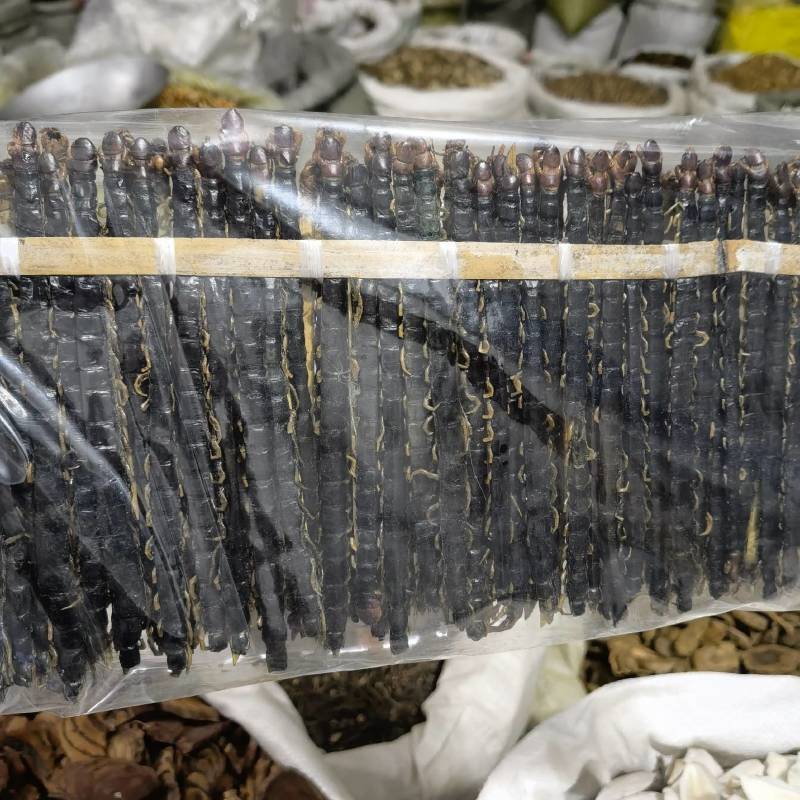 甘肃无硫当归可代发物美价廉当天下单当天发货