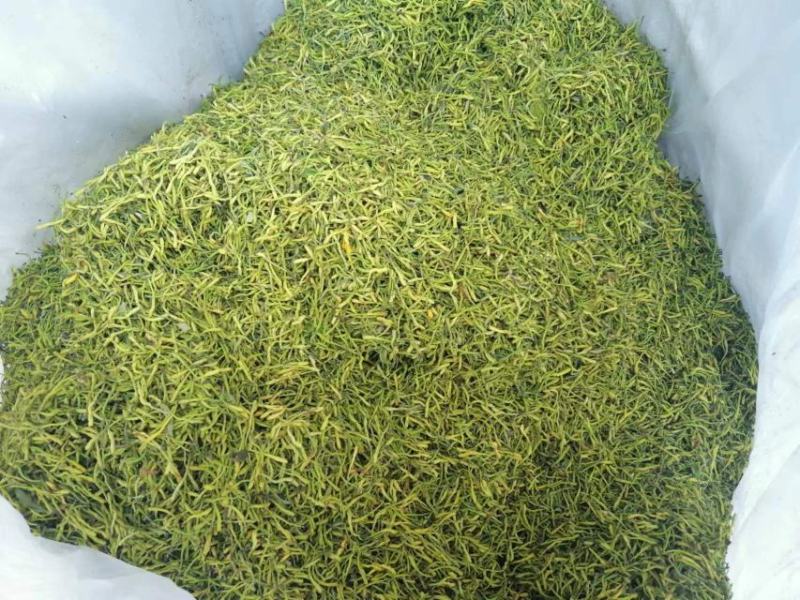 山银花