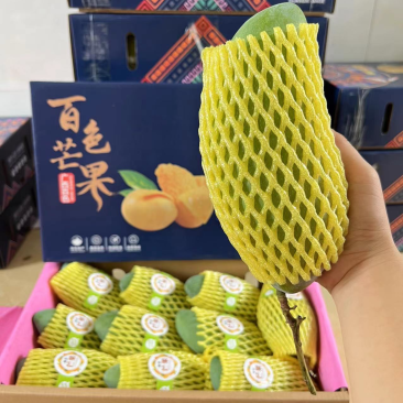 百色芒果