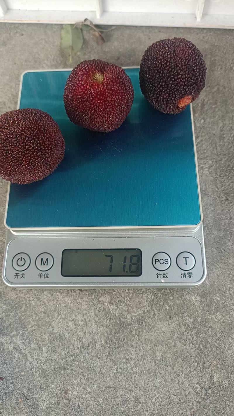 仙居东魁杨梅又大又甜水分很足质量可靠每个人工挑选