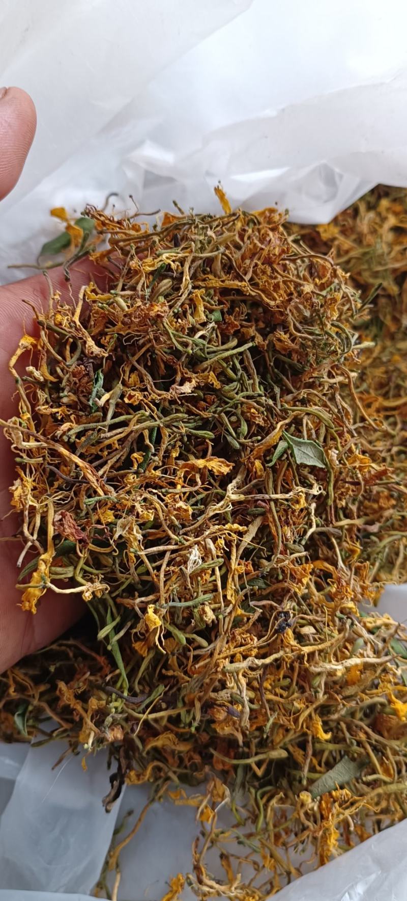 野生金银花