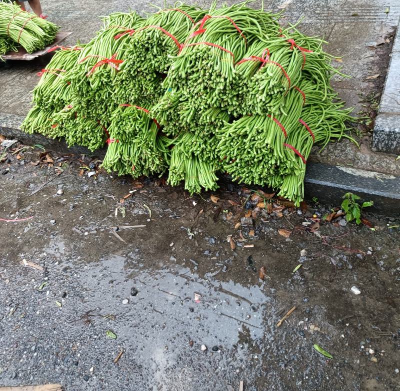 青豆角