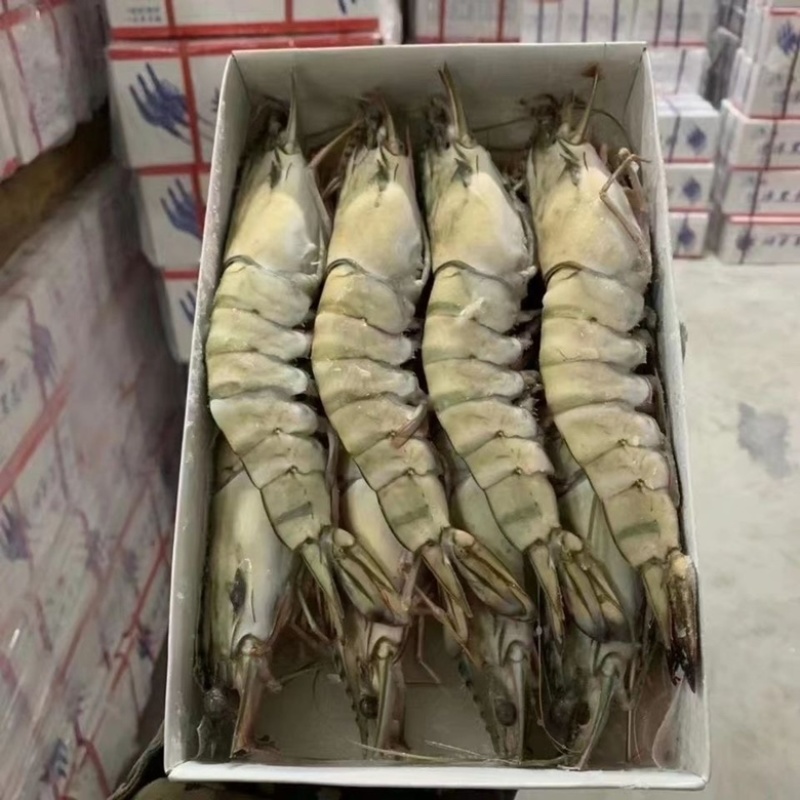 黑虎虾