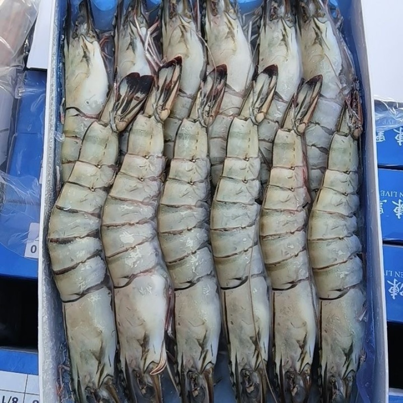 黑虎虾