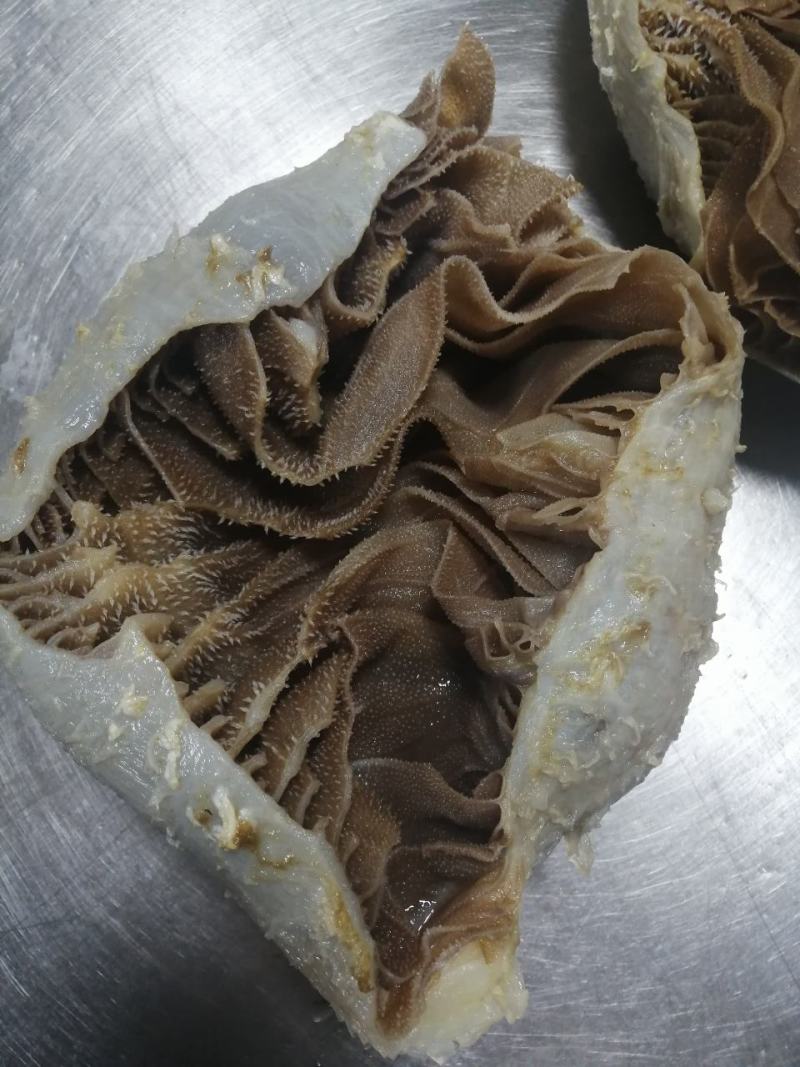 毛肚牛肚牛百叶厂家直销个子整个黑个带地板火锅冒菜酒店食堂