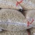 【实力商家】蒜米蒜芯米蒜子去皮大蒜供应食品厂市场批发