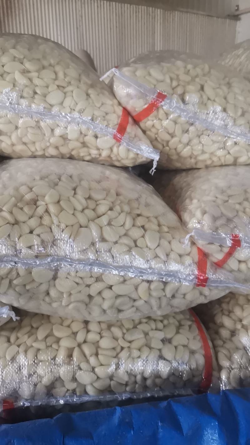 【实力商家】蒜米蒜芯米蒜子去皮大蒜供应食品厂市场批发