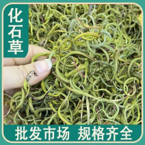 正品化石草云南精选特级正品野生化石草茶高海拔中药材
