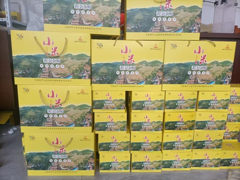 山东省五莲县芦山金谷地小米/黄小米产地种