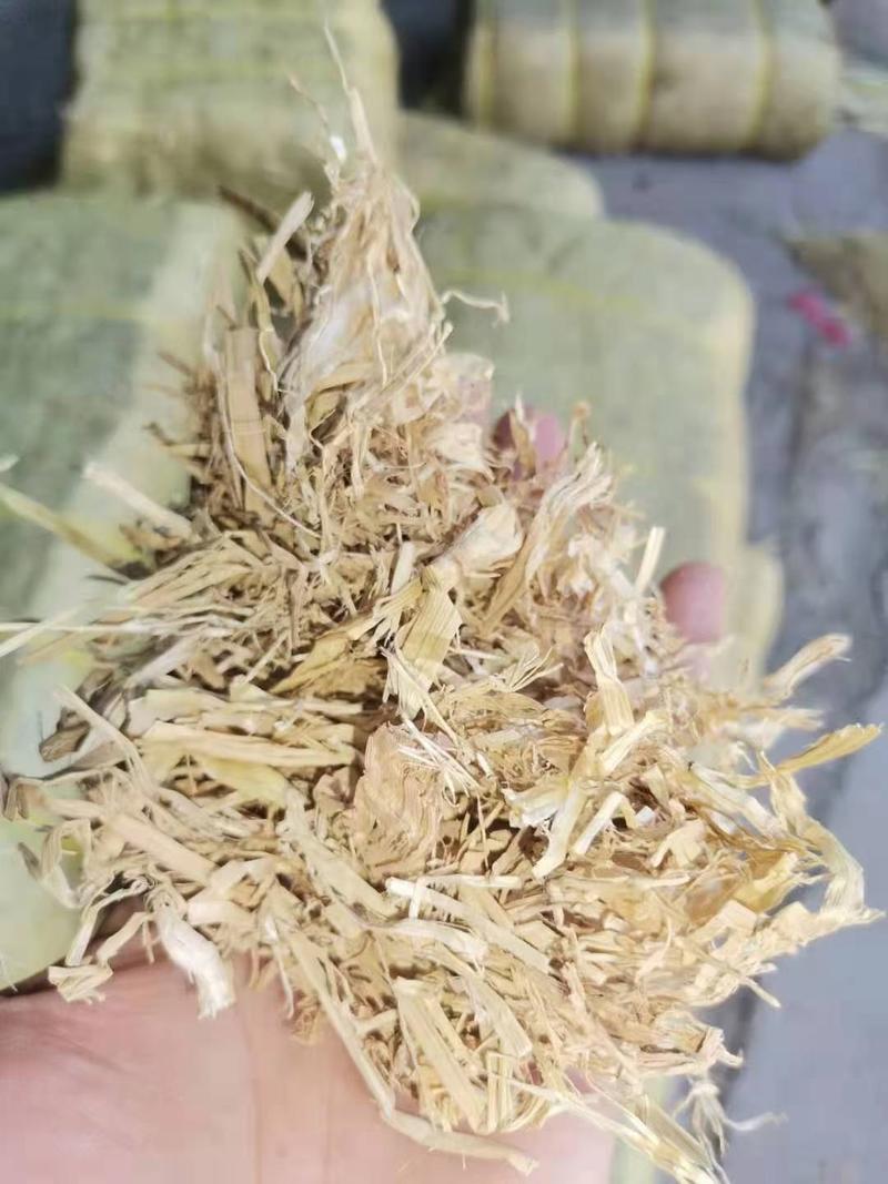 稻草铡段柔丝小方，场地二次加工过筛除尘风选，质量水分保证