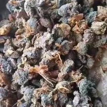 扇贝肉