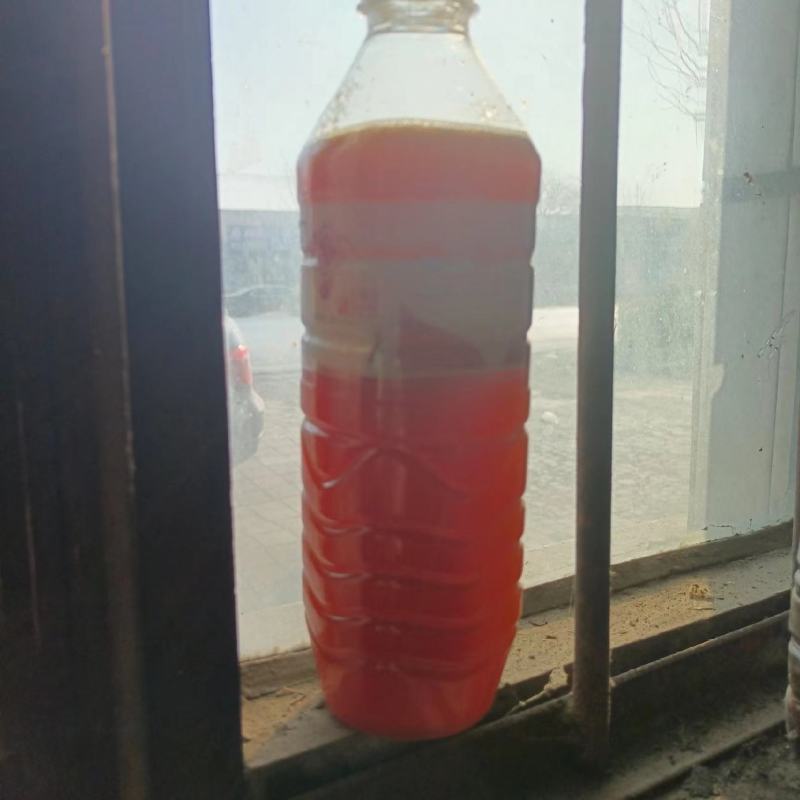 鱼油