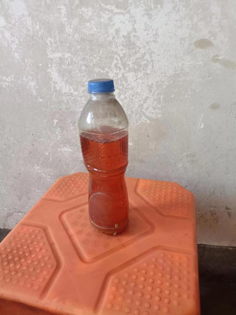 鱼油