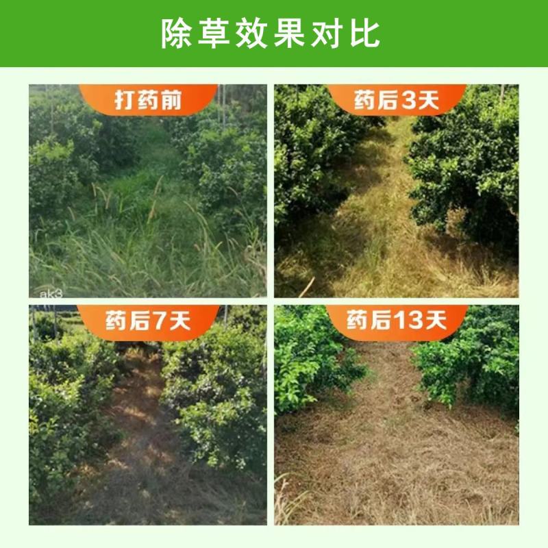 威远靓除20%草铵膦正品果园荒地牛筋草小飞蓬杂草斩草除根