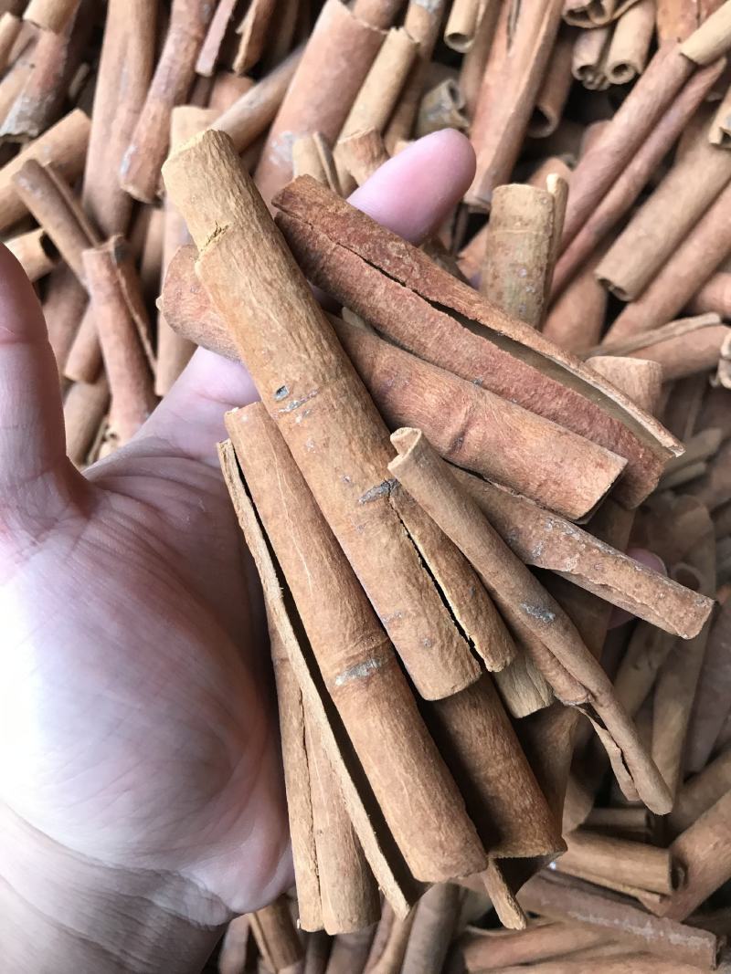 广西足干无硫烟桂