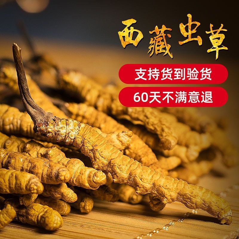中药材批发冬虫夏草产地直售批发价格店铺有千种药材