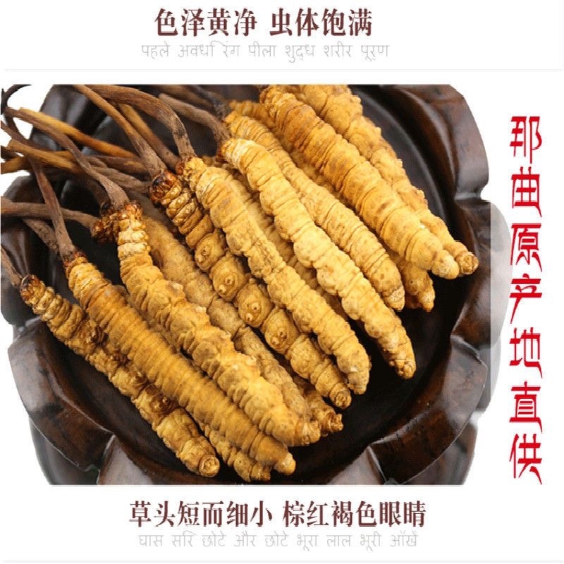 中药材批发冬虫夏草产地直售批发价格店铺有千种药材