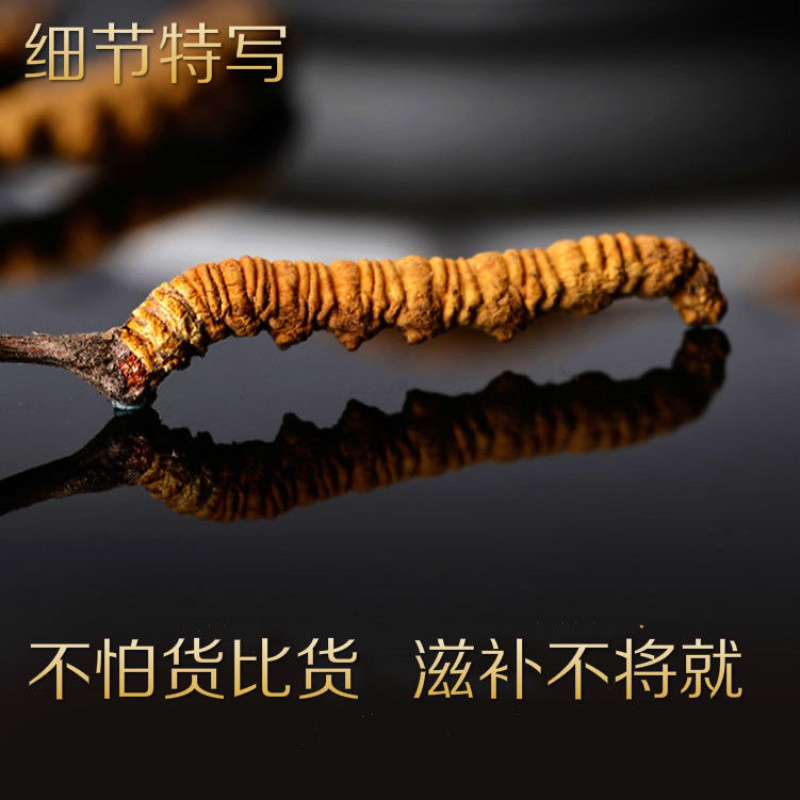 中药材批发冬虫夏草产地直售批发价格店铺有千种药材