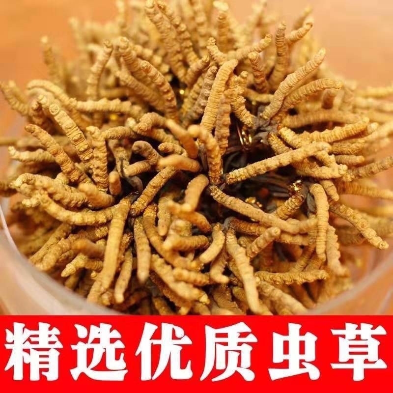 中药材批发冬虫夏草产地直售批发价格店铺有千种药材