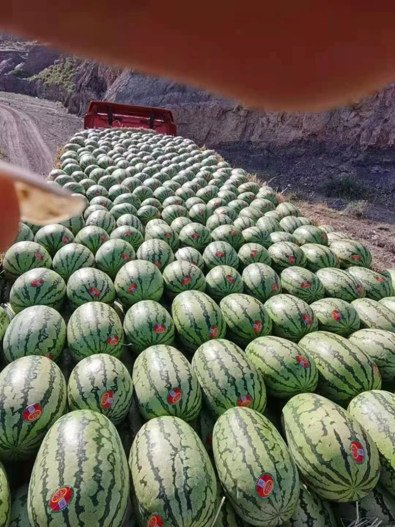 宁夏中卫石头瓜石缝瓜质量保障硒砂瓜常年供应欢迎联系