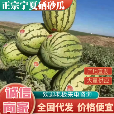 宁夏中卫石头瓜石缝瓜质量保障硒砂瓜常年供应欢迎联系