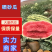宁夏中卫石头瓜硒砂瓜金花一号西农西瓜一手货源量大价优
