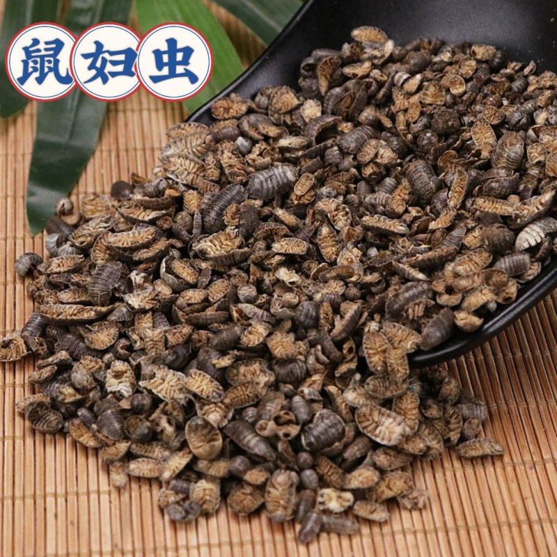 中药材批发现货鼠妇虫西瓜虫潮虫供应上千种中药材
