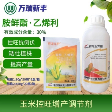 祥龙玉大饱胺鲜酯乙烯利玉米矮壮素控旺缩节增产矮丰王