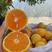 夏橙，精品夏橙，个大皮薄肉厚汁多口感细腻无干水保质保量