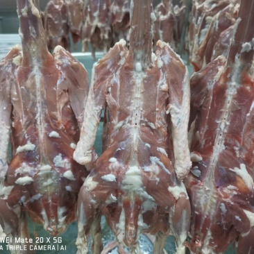 卤鹅去皮鹅