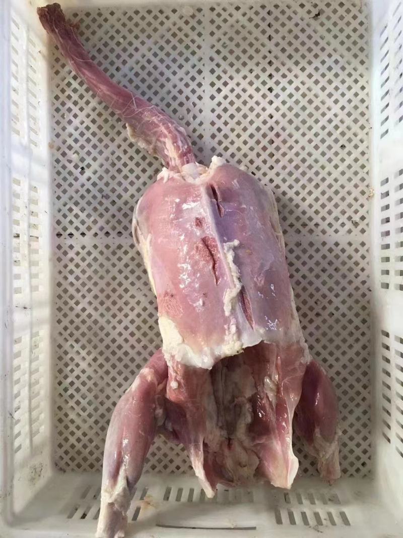 卤鹅去皮鹅