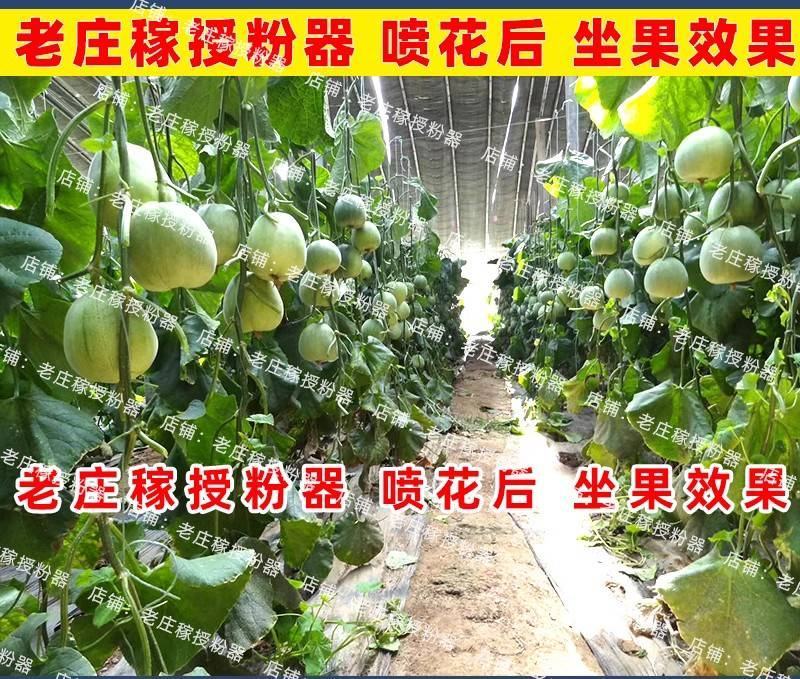 加长杆喷花神器授粉西红柿大樱桃茄子点花手动枪不锈钢连续喷