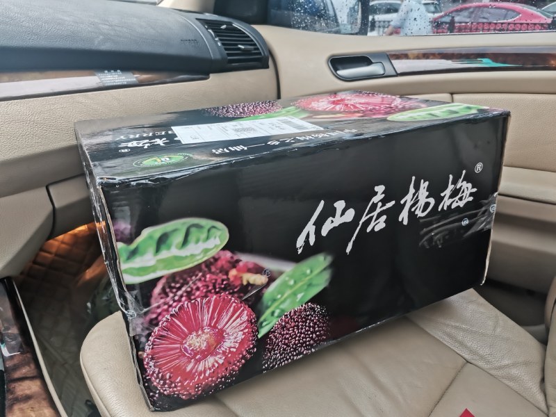 上海8424薄皮西瓜