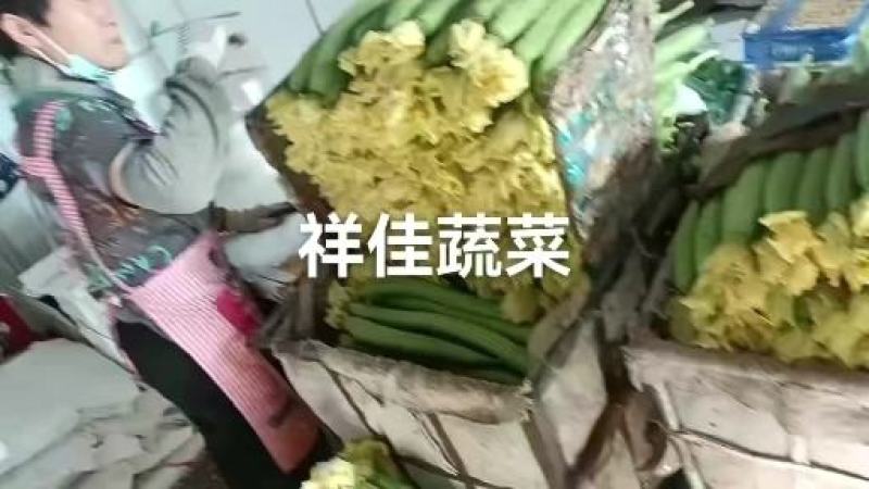 丝瓜（产地直供，一手货源。大量供应，品优价廉）