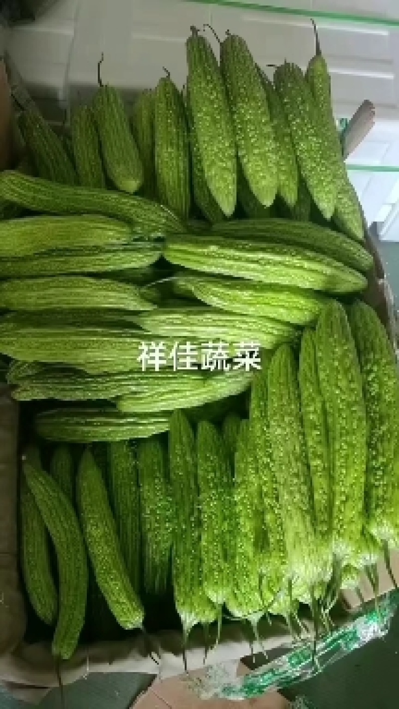 苦瓜产地直发，一手货源，货源直采，量大价优