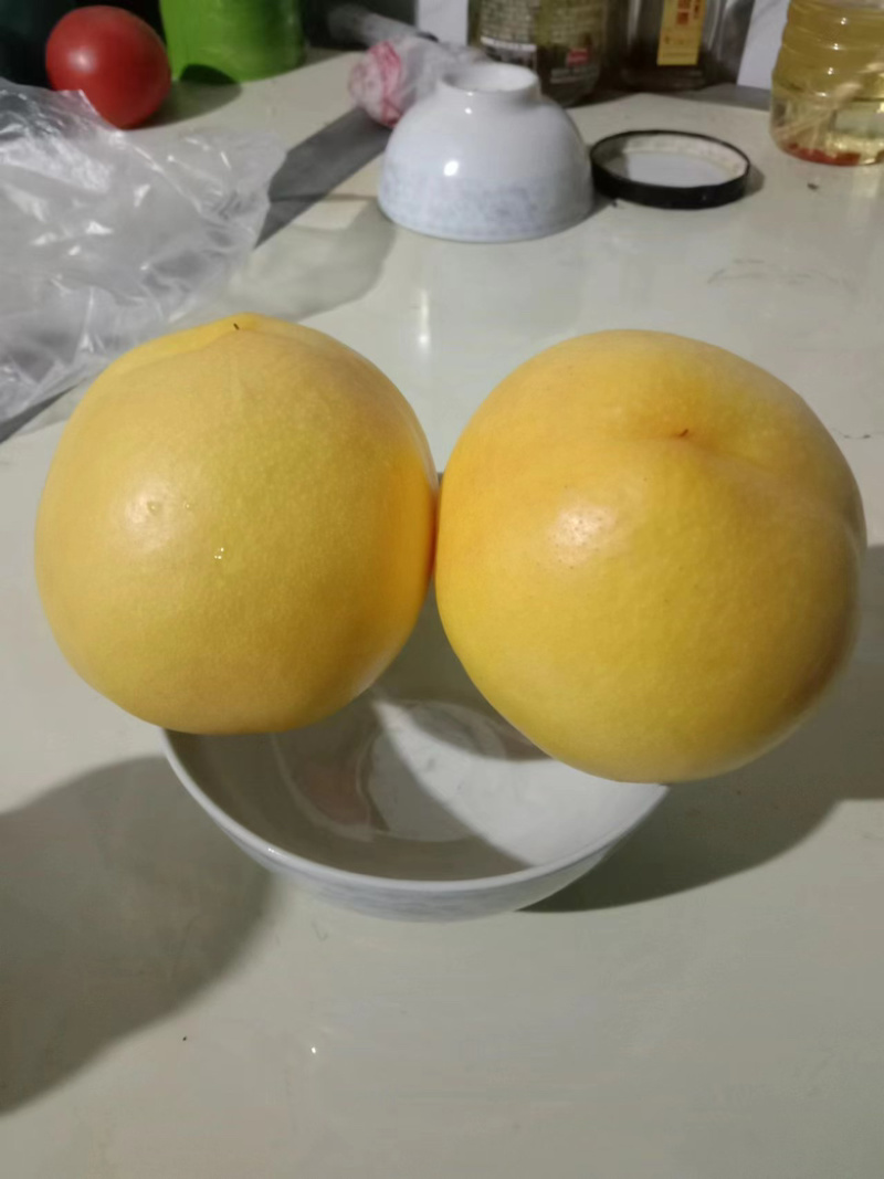 【山东黄桃】黄毛桃黄油桃彩虹蟠桃产地发货一件代发电商