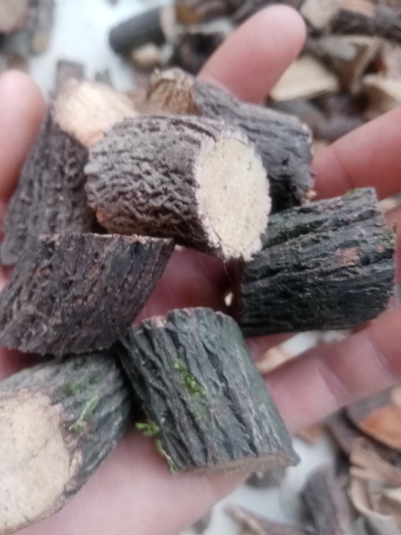 铁包金中药材铁包金纯根手工砍片或切段干湿均可