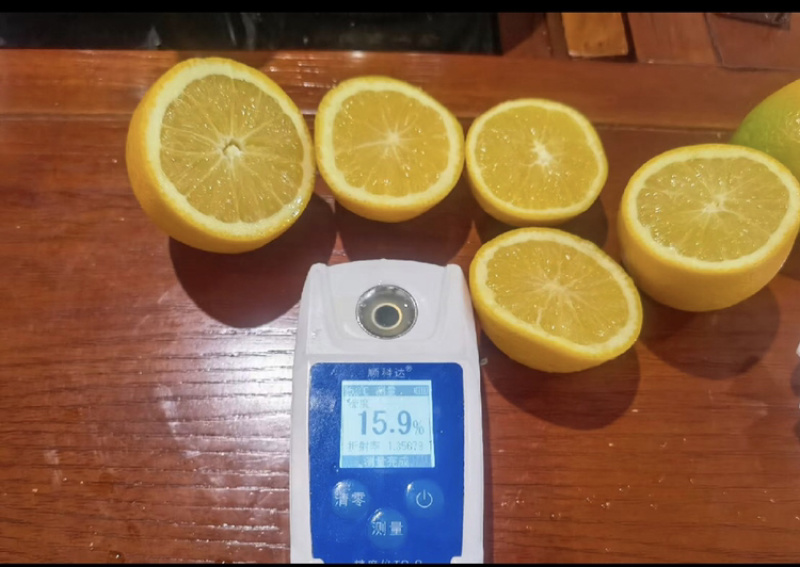 橙子/夏橙/湖北橙子/秭归甜橙/皮薄多汁【湖北夏橙】
