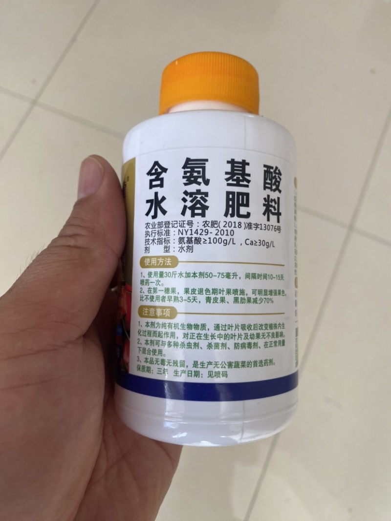 番茄全红果番茄全红增加硬度防止裂果提早成熟