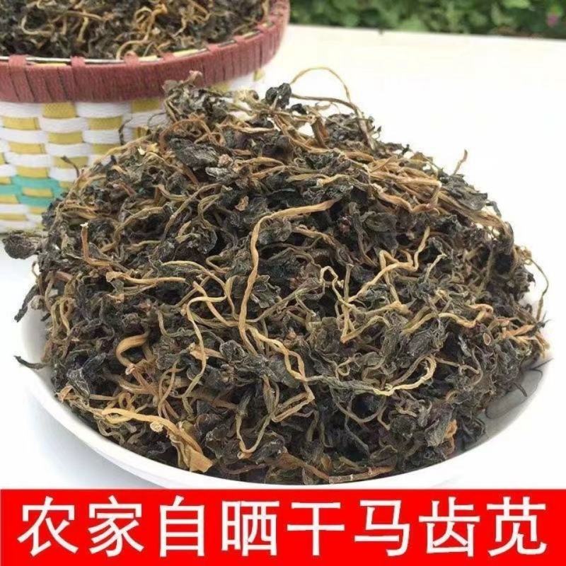 马齿苋干野菜中药材马齿草马齿菜马苋五行草长