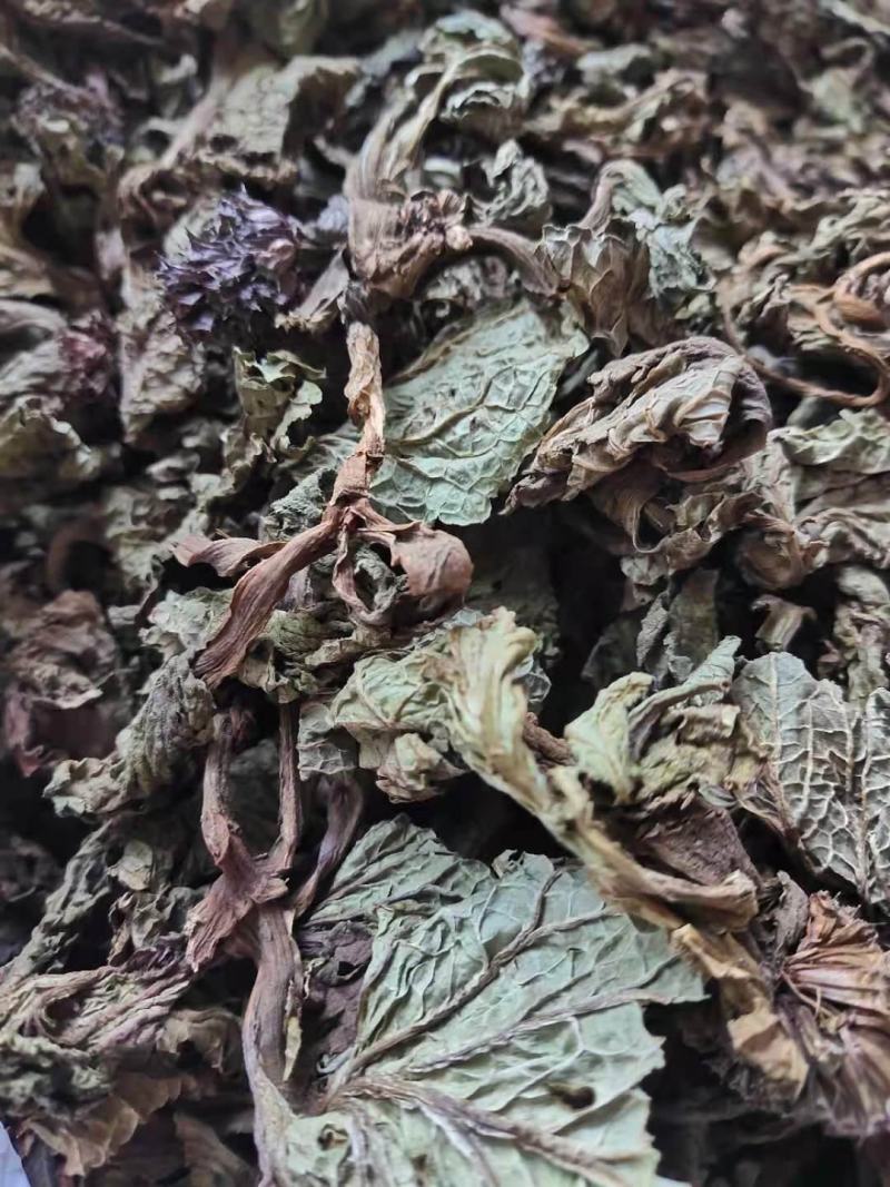 独一味叶粉，中药材独一味叶独一味叶细粉质量保证欢迎选购！