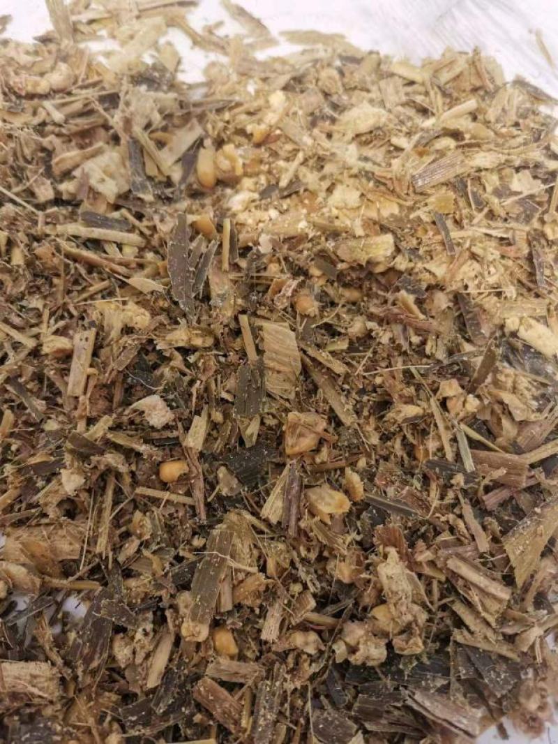 优质全株青储玉米，克拉斯机器做业，籽粒破碎程度好，双30