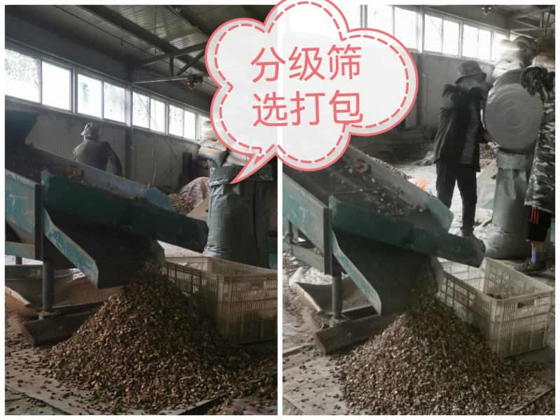 道地中药材苦参片河南卢氏产地直发常年供货随时联系