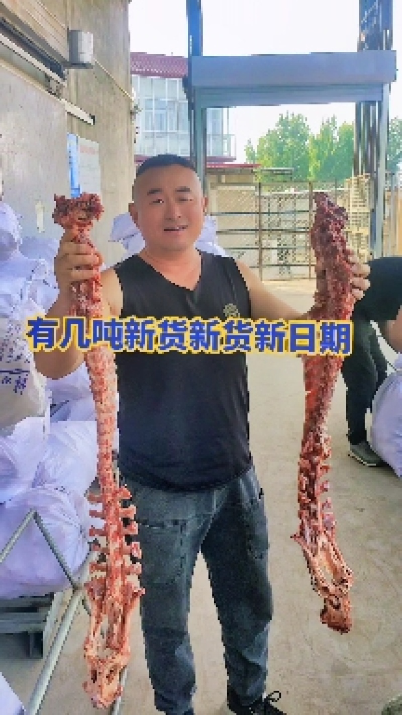 羊蝎子