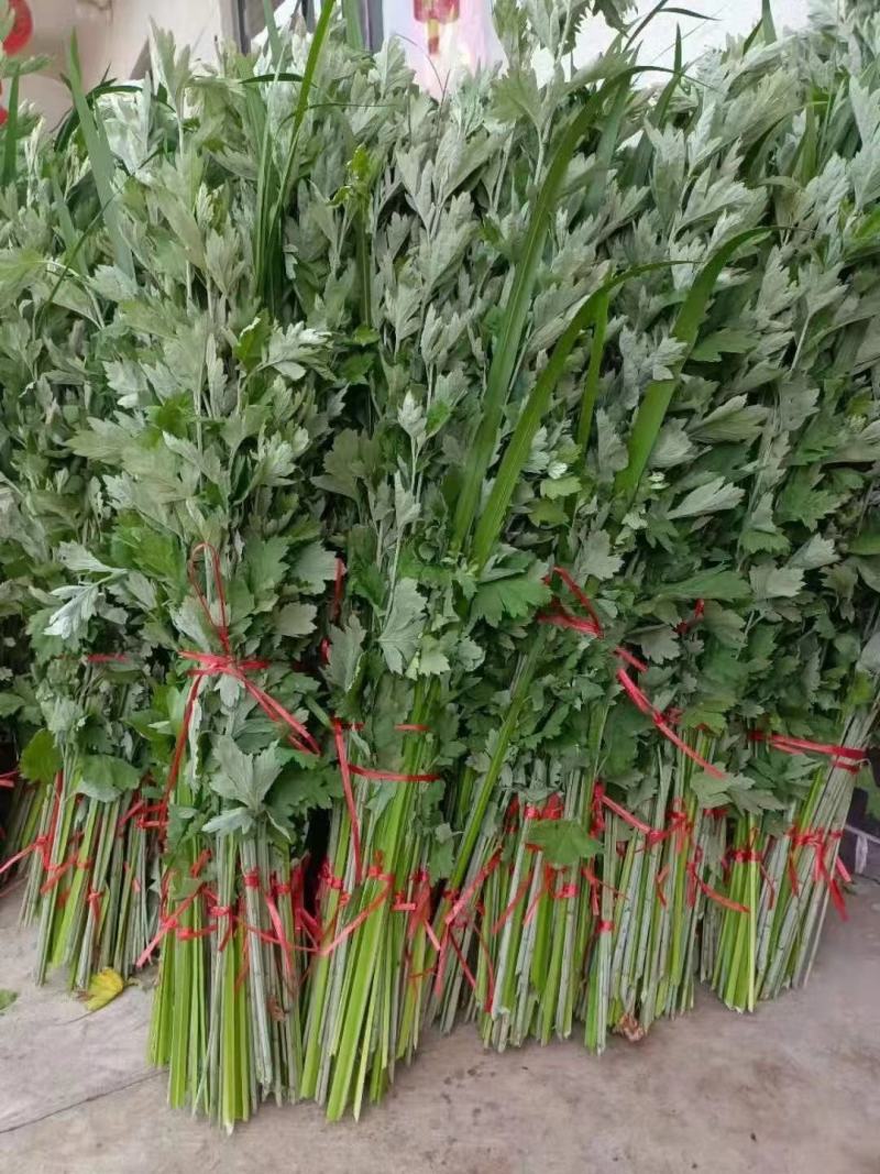 艾草